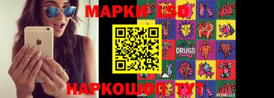 молекула духа Донецк