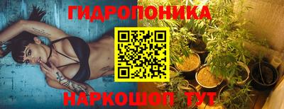 молекула духа Донецк