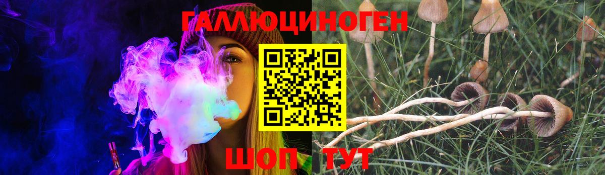 Псилоцибиновые грибы MAGIC MUSHROOMS  Псилоцибиновые грибы ЛСД  Междуреченск  Вход с VPN 